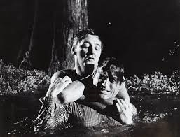 Cape Fear