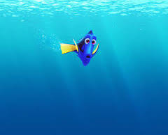 Dory 2